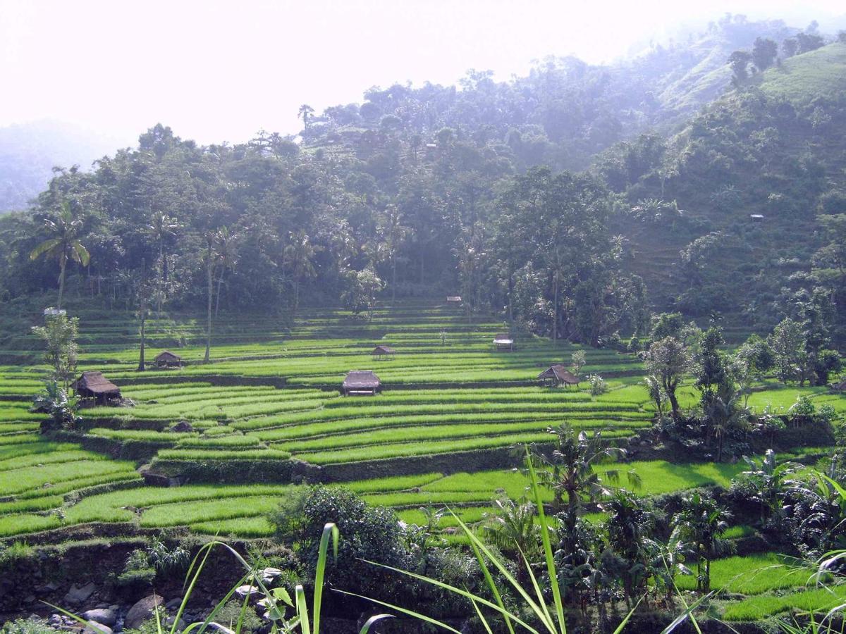Villa Arjuna Seraya 외부 사진